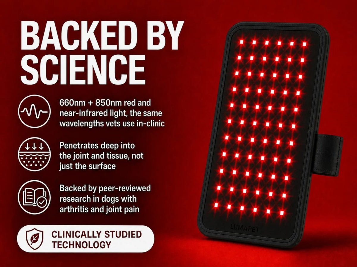 Luma Pet Red Light Pad.