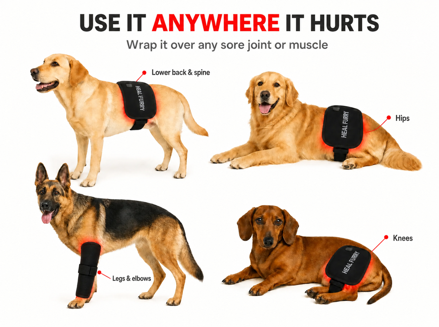 Luma Pet Red Light Pad.