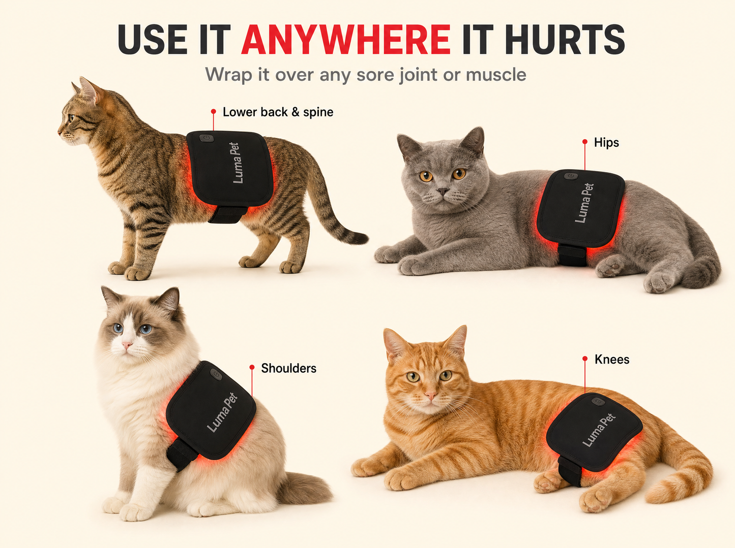 Luma Pet Red Light Pad for Cats