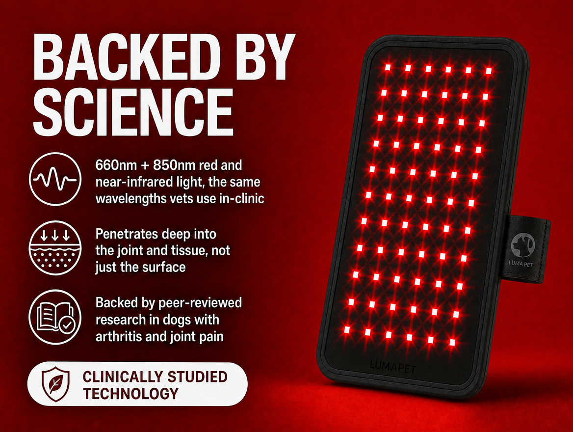 Luma Pet Red Light Pad for Cats